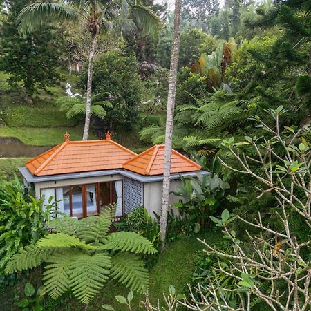 Tjendana Kanaka Jungle Resort Ubud Экстерьер фото